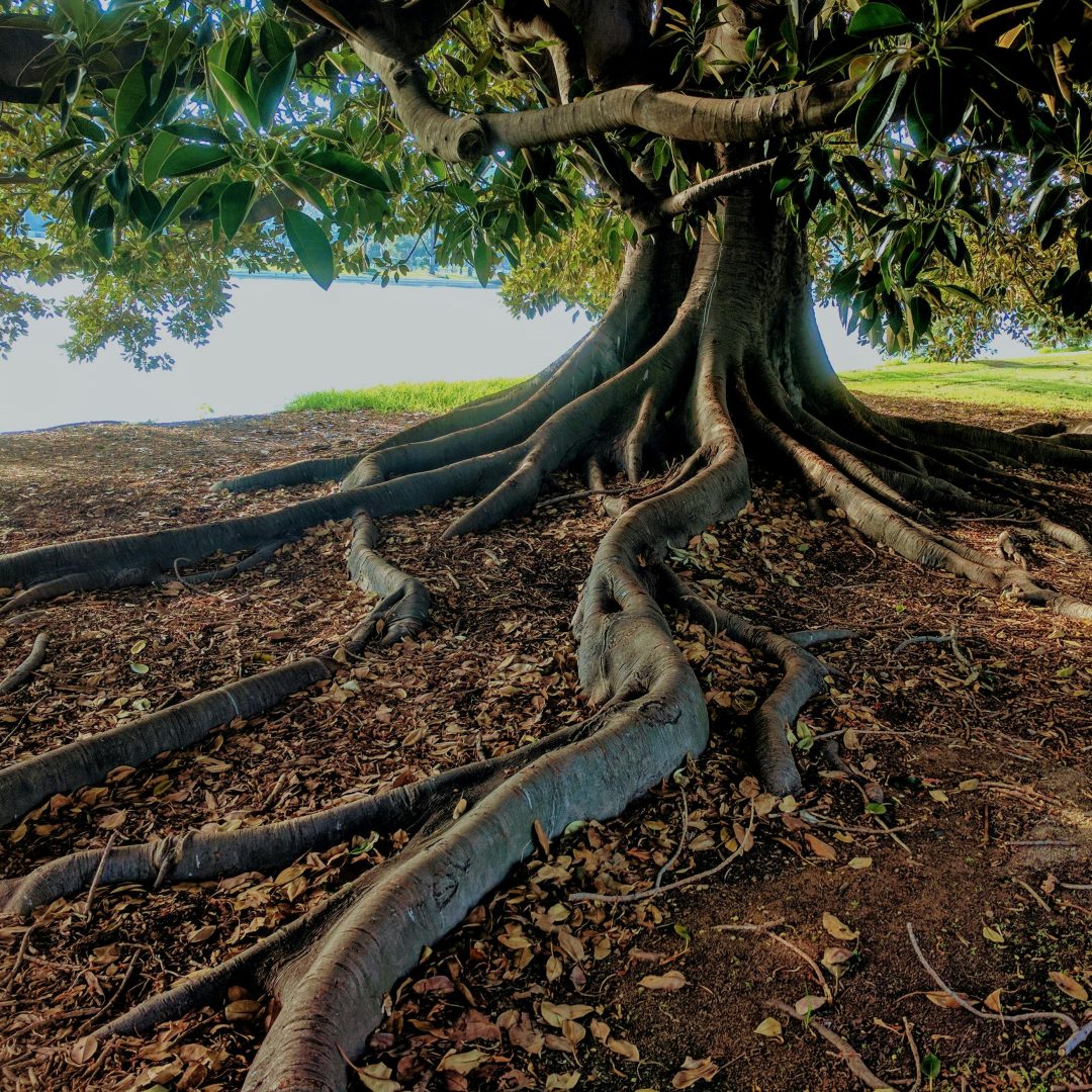 pexels-photo-762679-762679